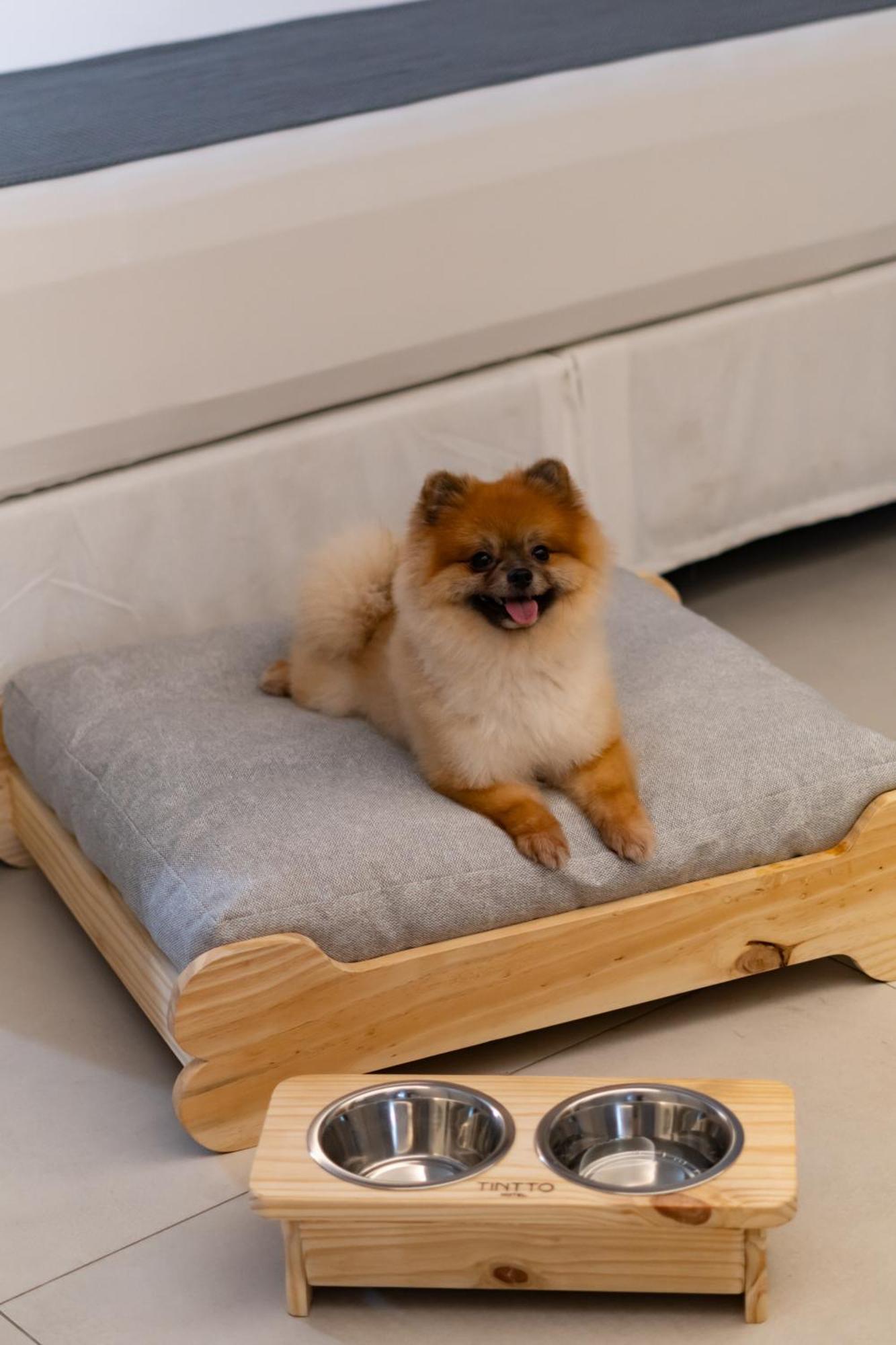 Tintto 4* Fortaleza (Ceara)